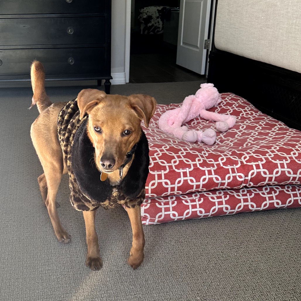 Michi — thumbnail 4