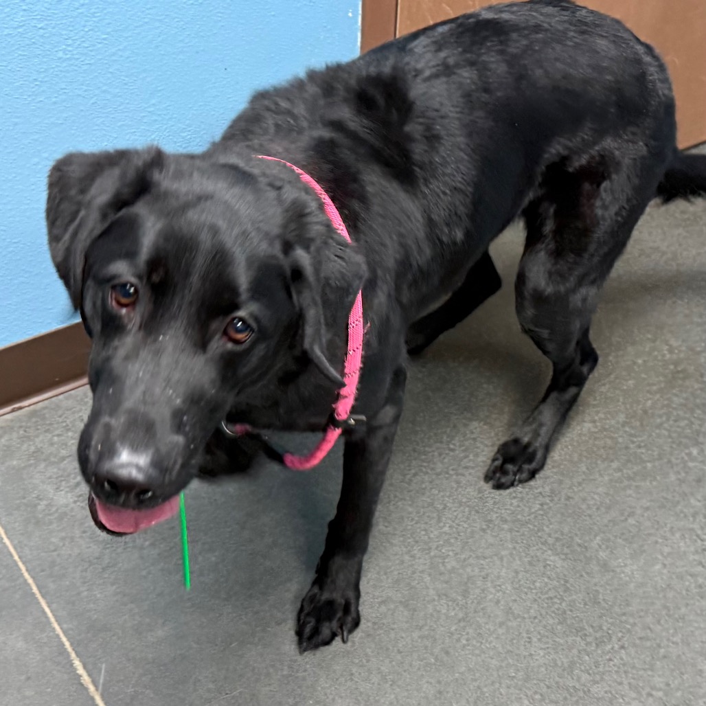 Miles — thumbnail 2