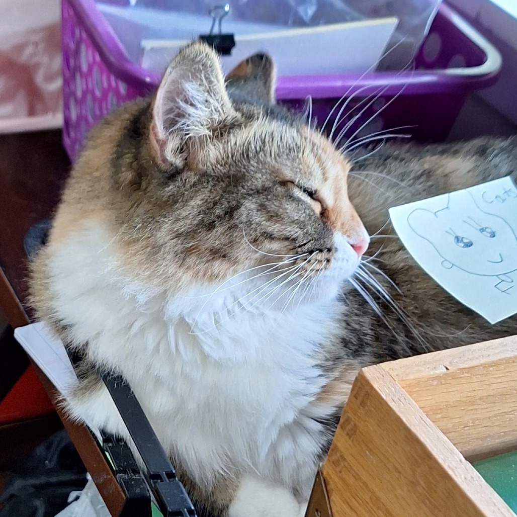 Fiona, photo 3