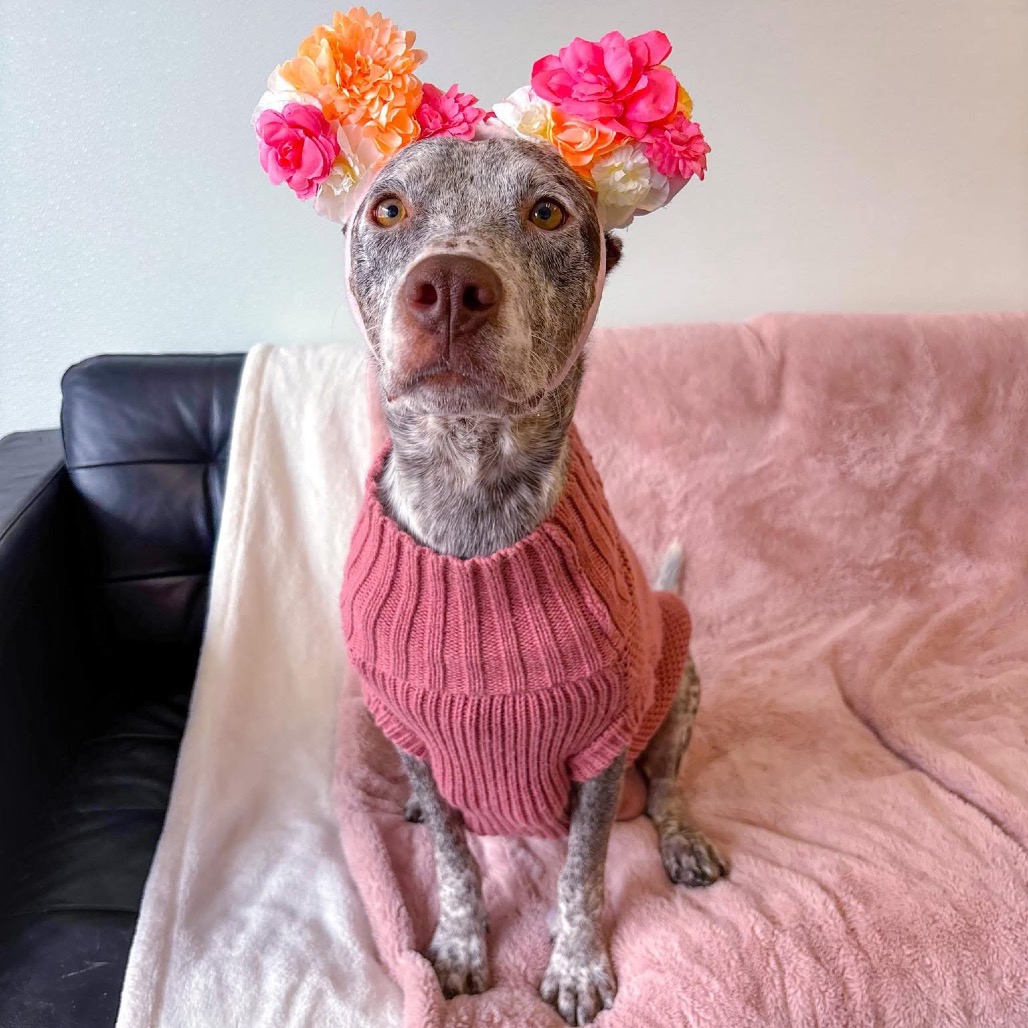 Maggie O'Hooligan/Mom 