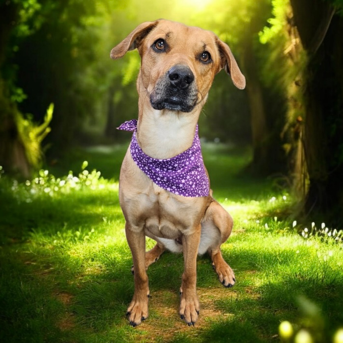 Solana -- In Foster, photo 4