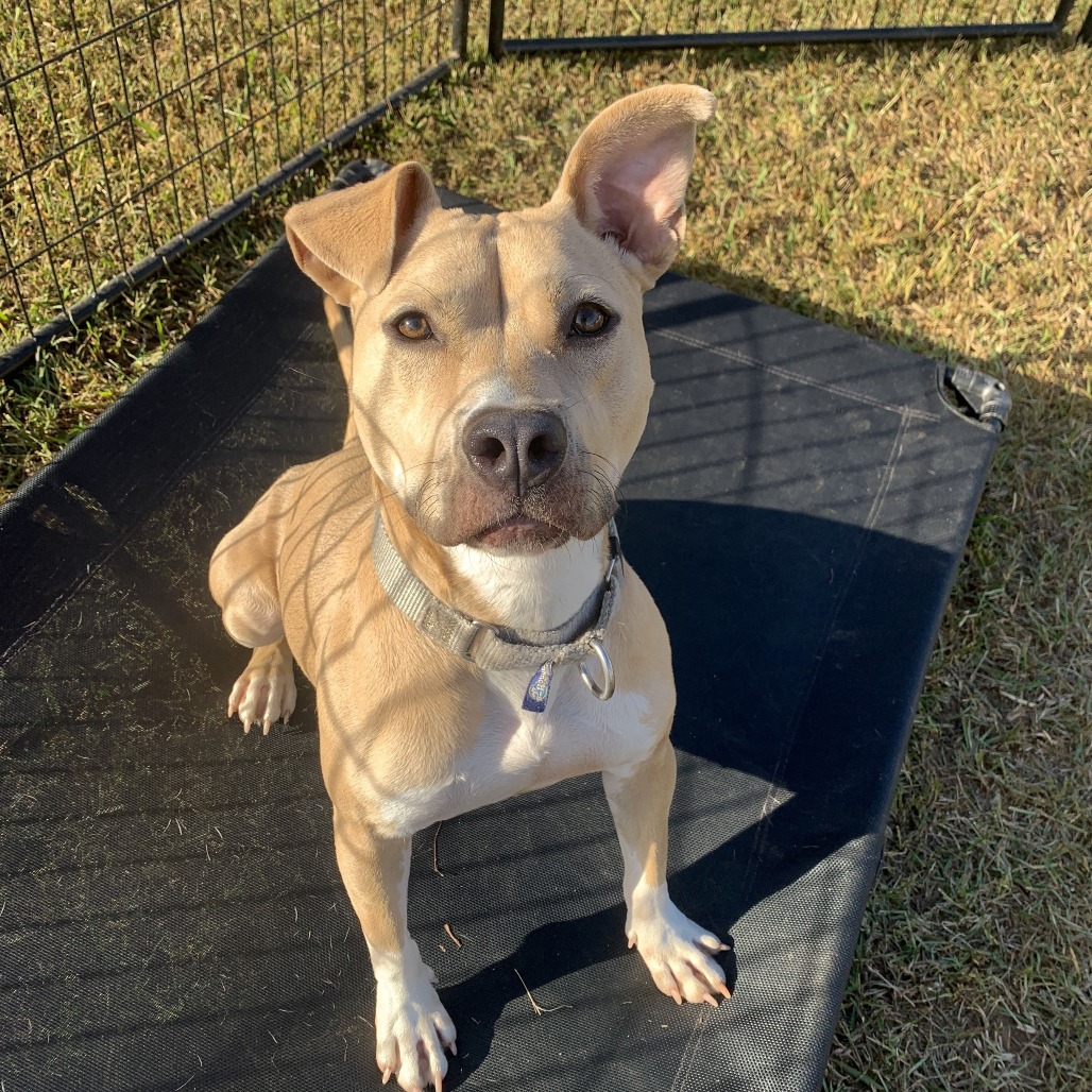 Pippa 01-1426, photo 10