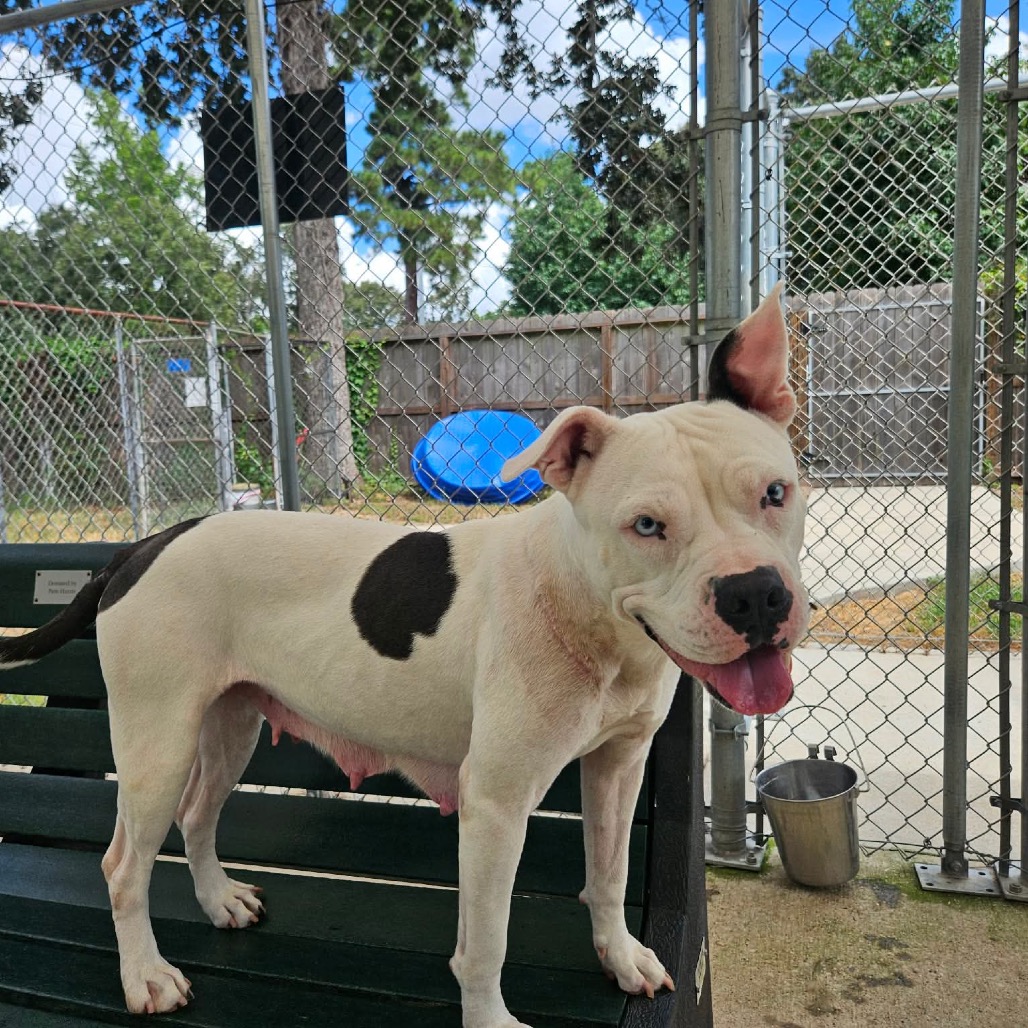 Nimbus, photo 9
