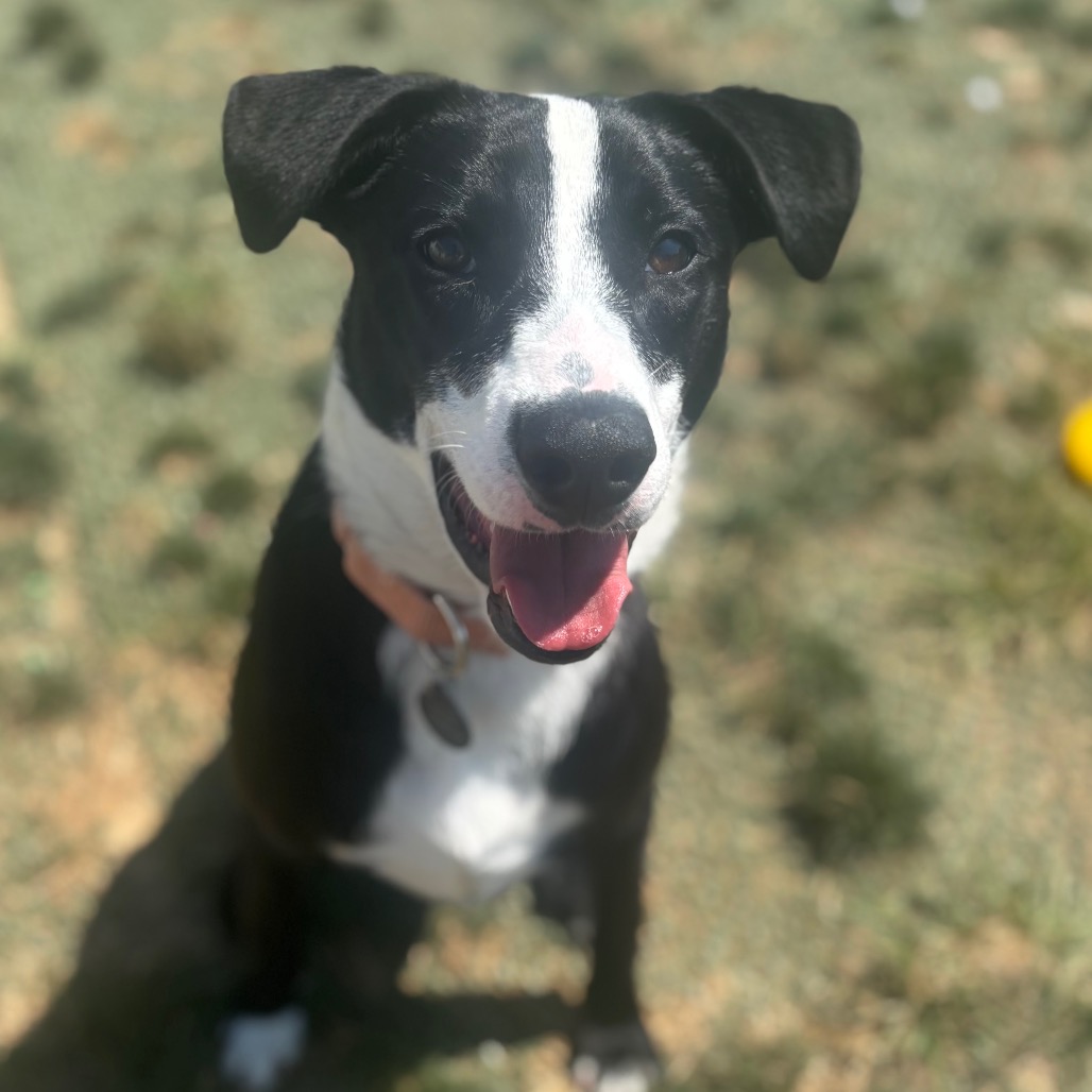 Esther photo