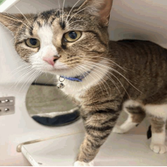 Brenda Louise — thumbnail 4