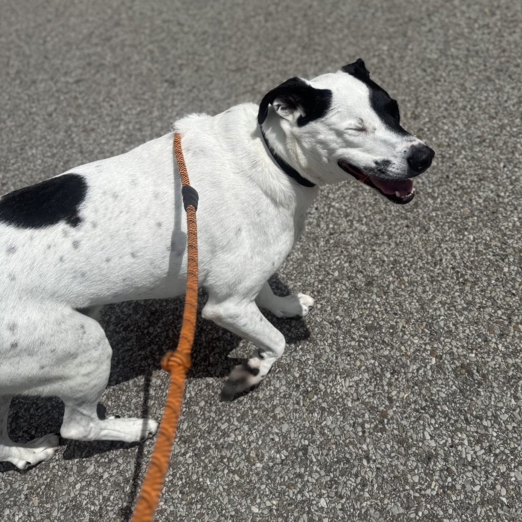 Photo of Buddy 6