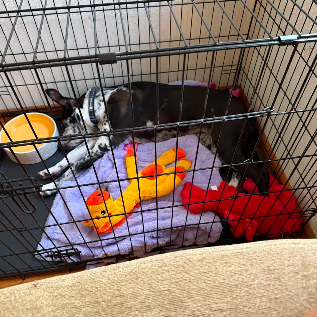 Beesly, photo 18
