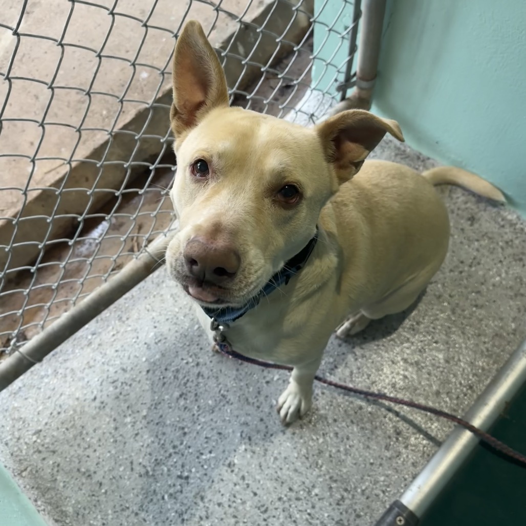 Kilo, additional photo
