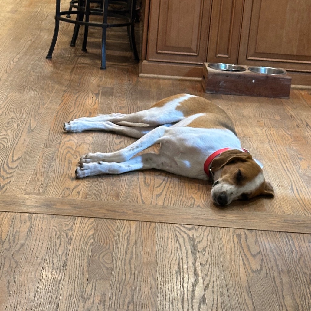 Tony — thumbnail 4