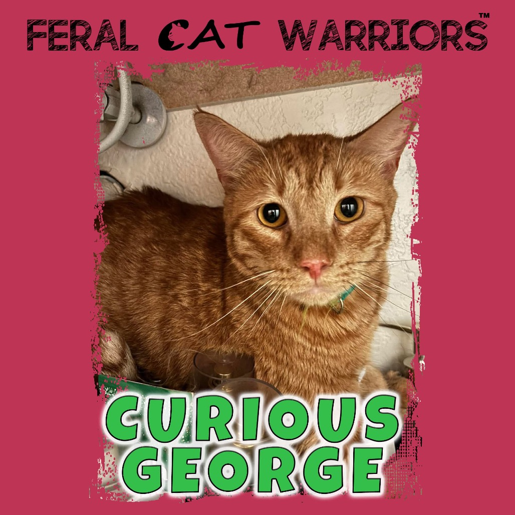 Curious George