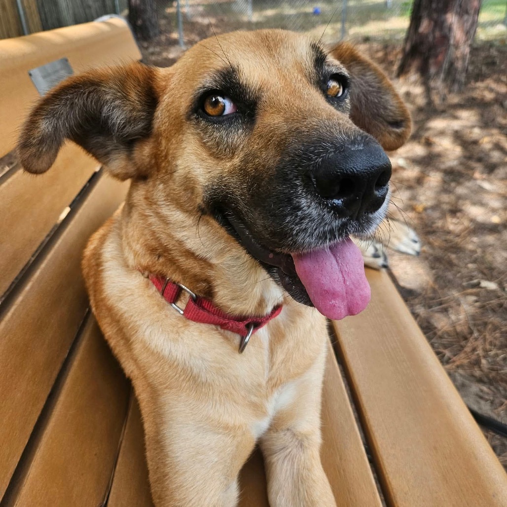 Hazel, photo 21