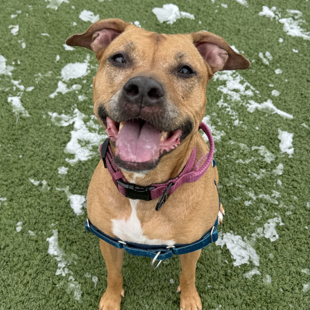 Myra — thumbnail 7