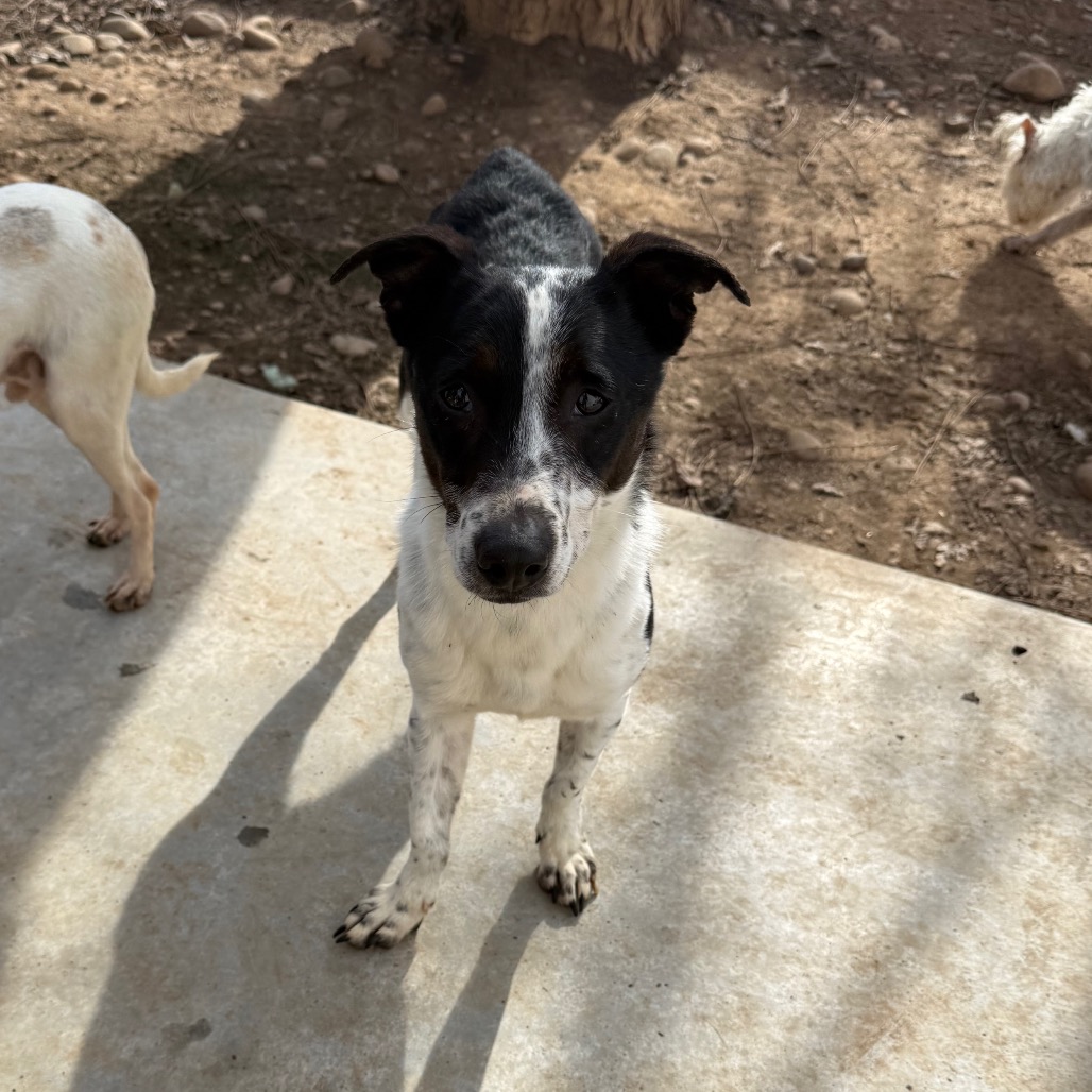 Maze — thumbnail 5