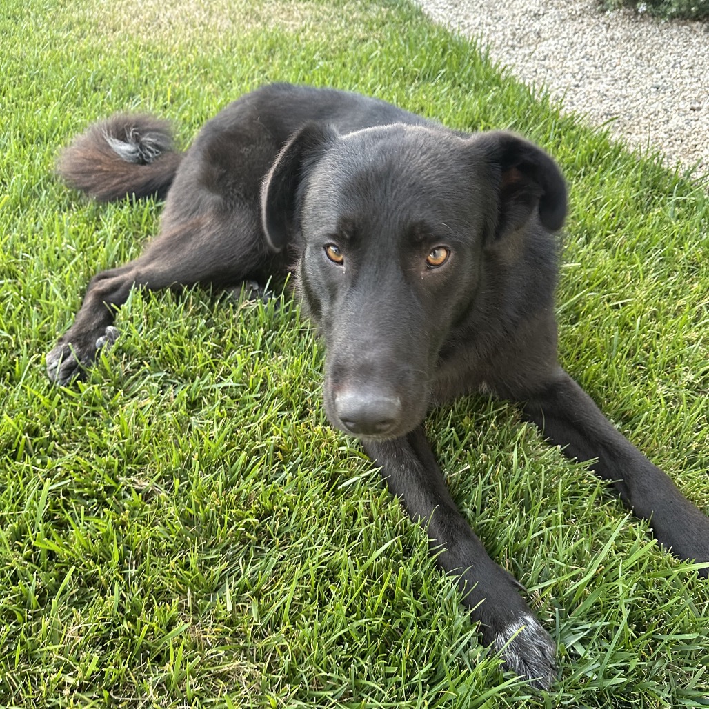 Germaine, photo 3