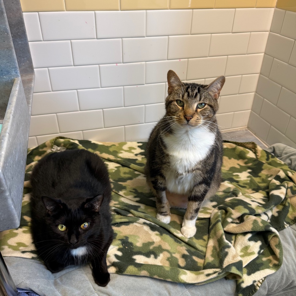 Photo of Hope and Tucker 7