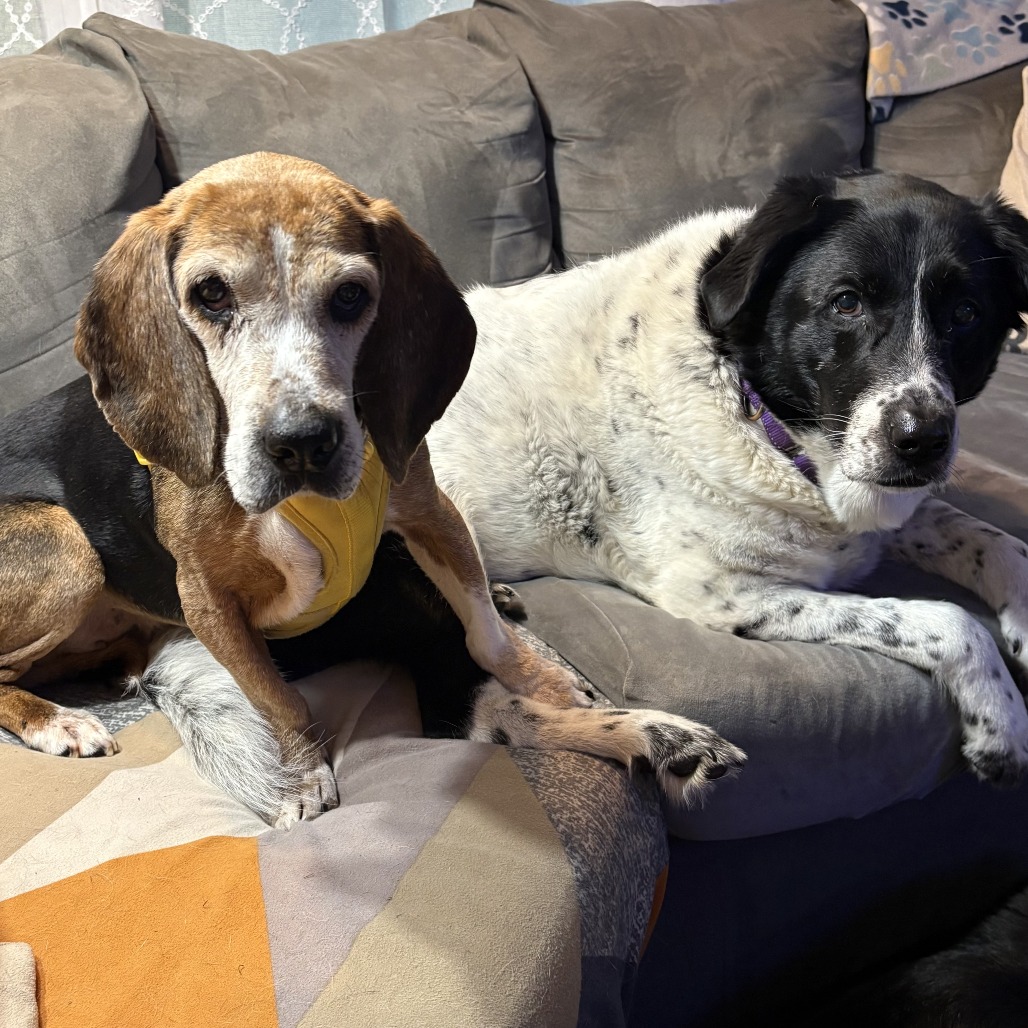 Mildred, photo 9