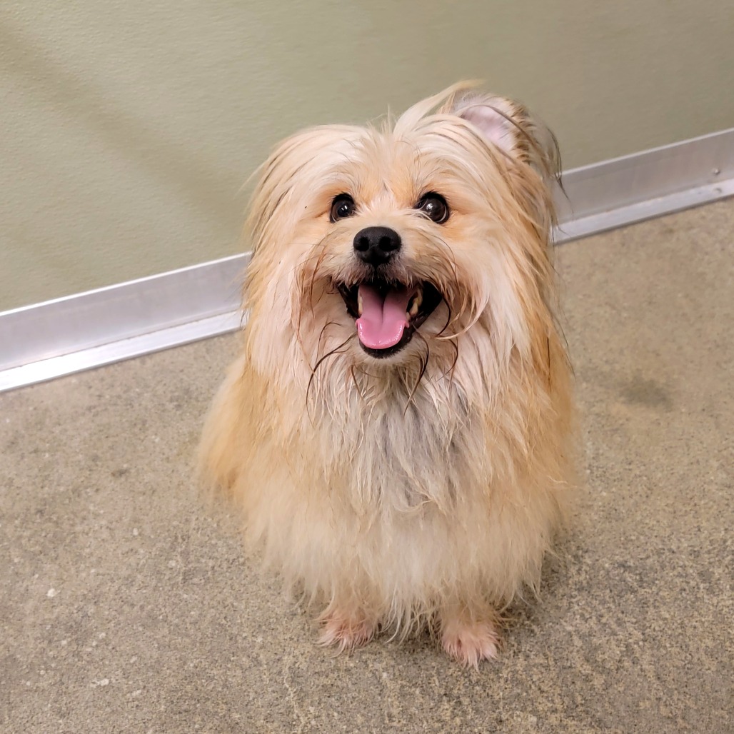 Jack — thumbnail 3