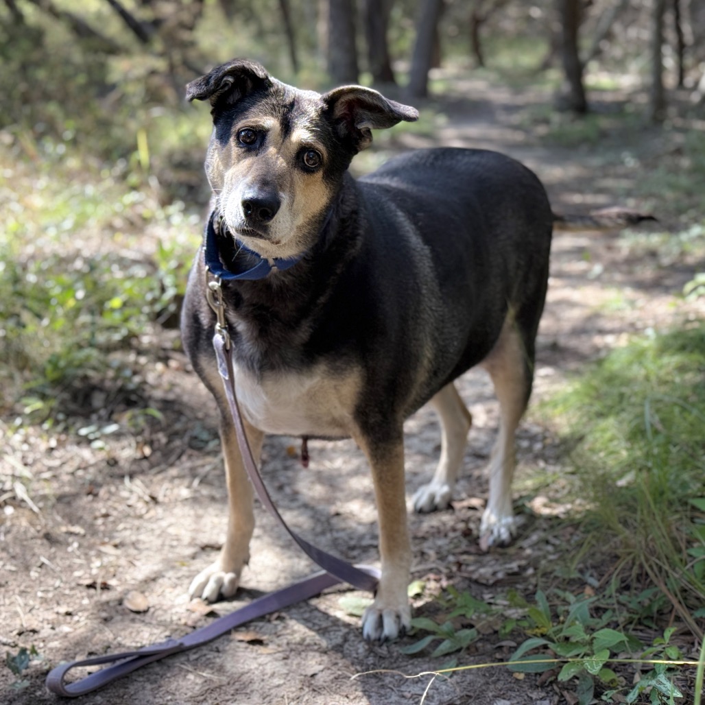 MADDY, photo 8