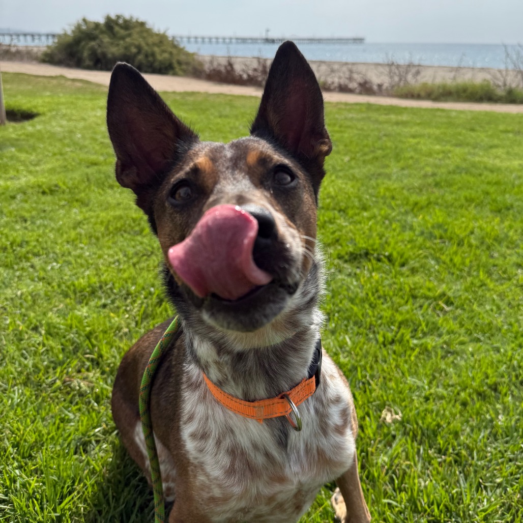Cash, photo 12