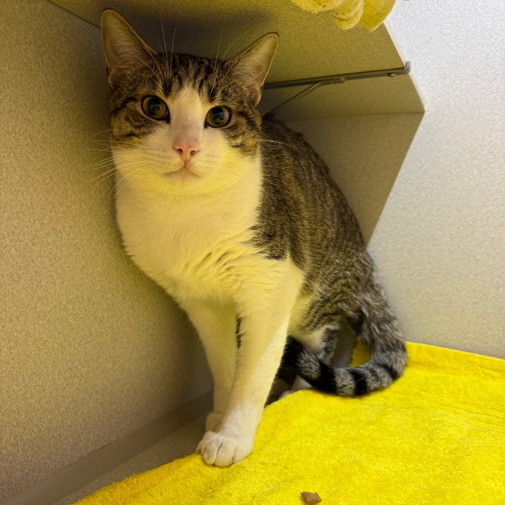 Photo of Nick Carraway 20