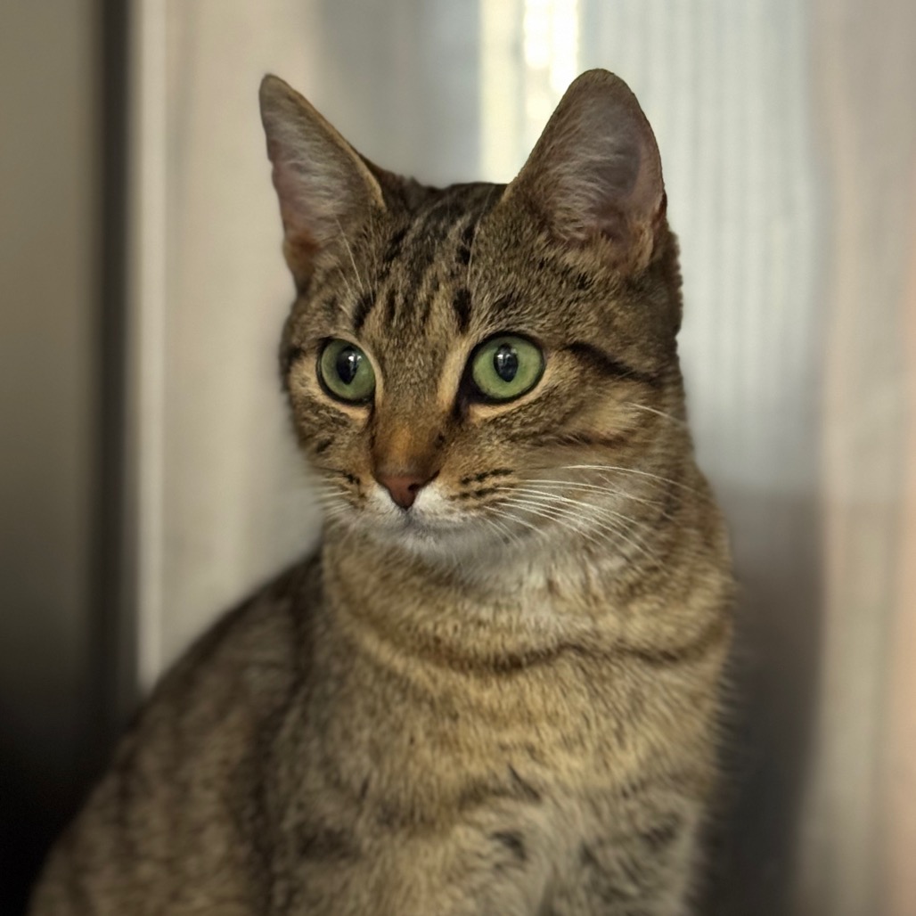 Emmy (Mom), photo 3