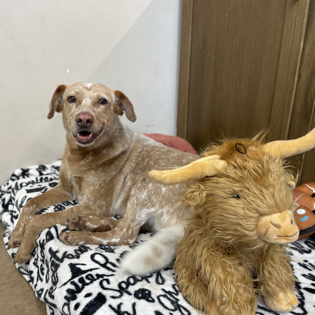 GINGER, photo 9