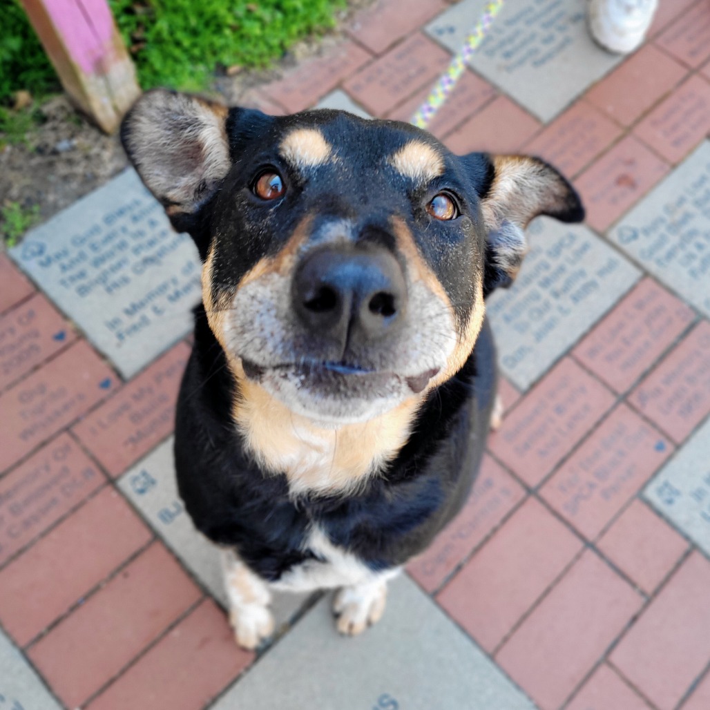 Louie, photo 2
