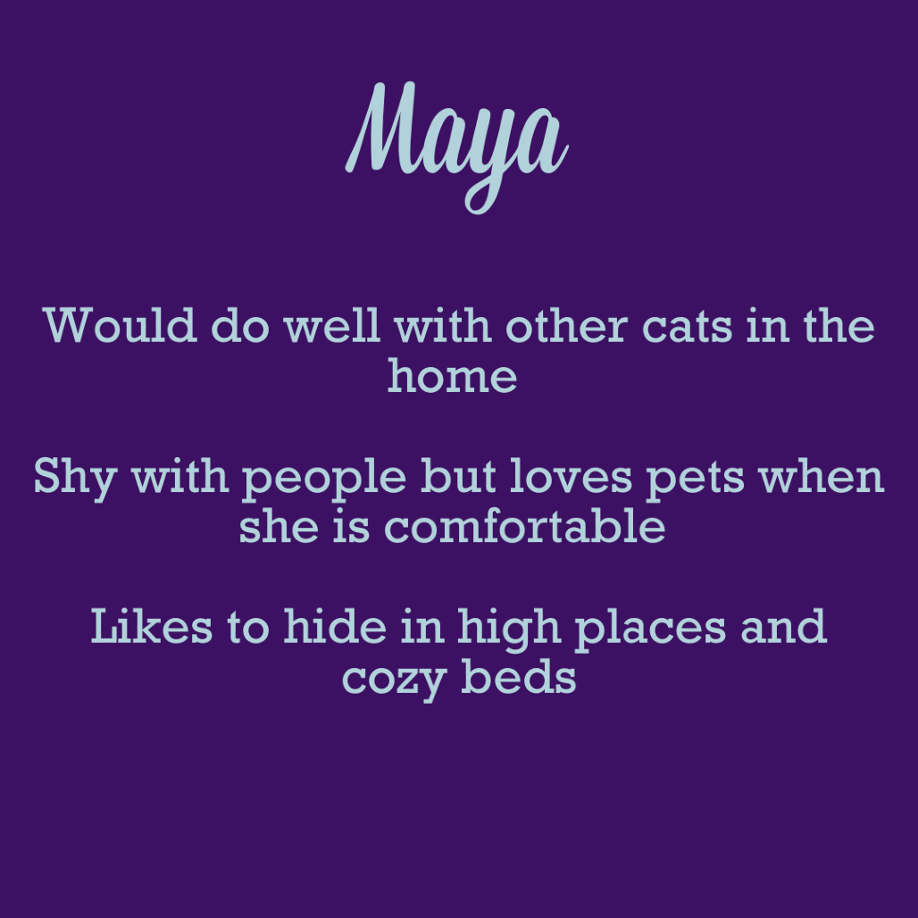 Maya, photo 2 of 7