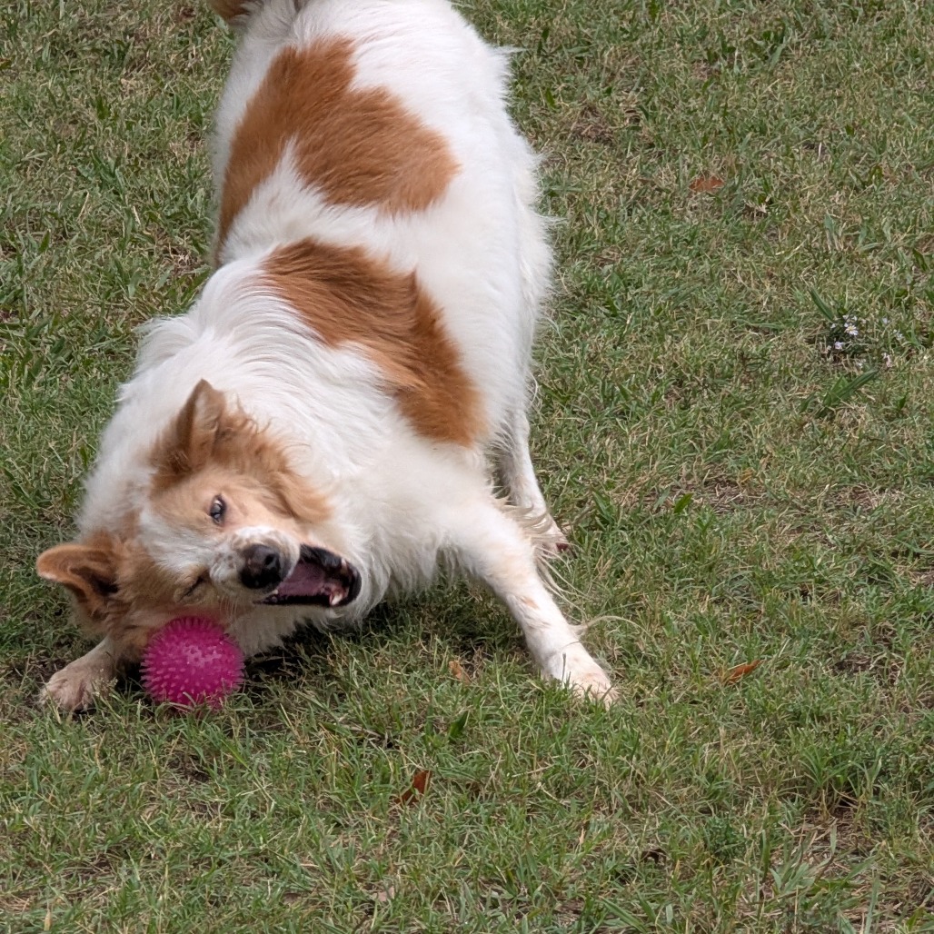 Sandy photo 30