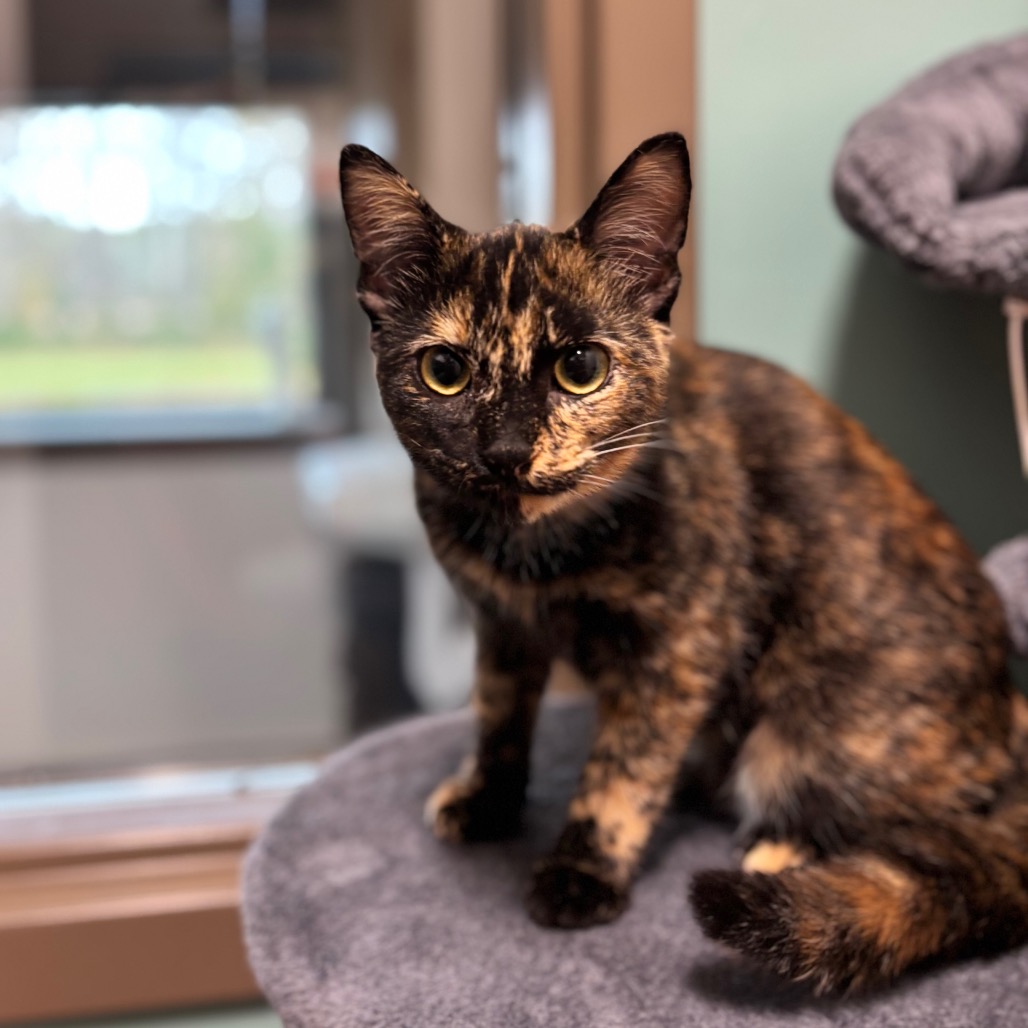 Mary Sanderson, photo 4