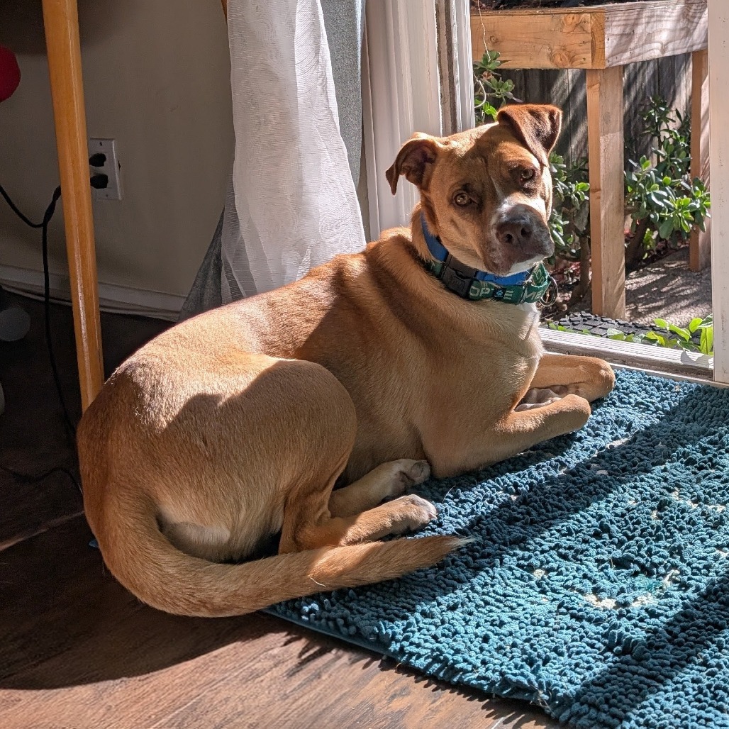KASHA, photo 23