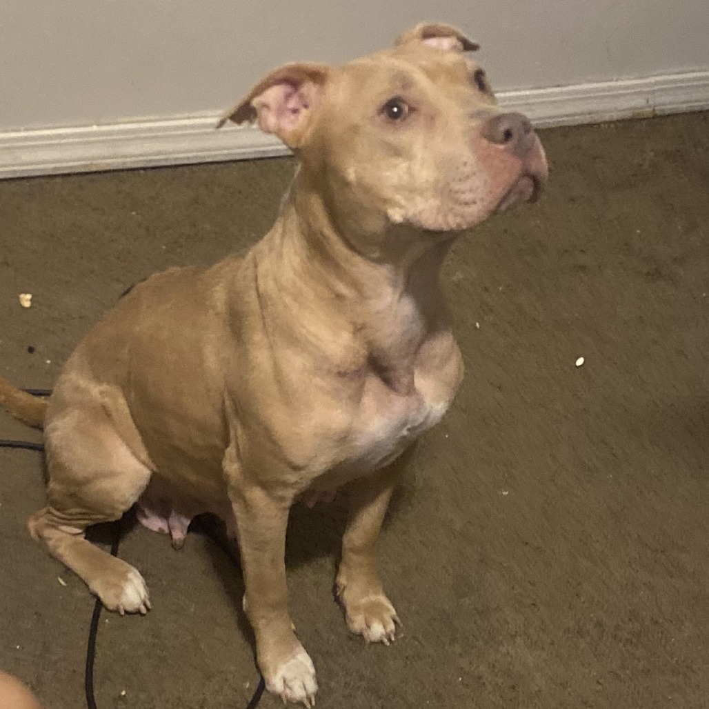 Photo of Grizelda aka Gigi