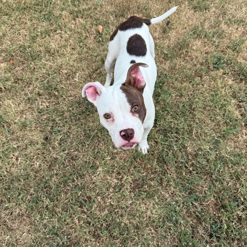 Olivia photo 3