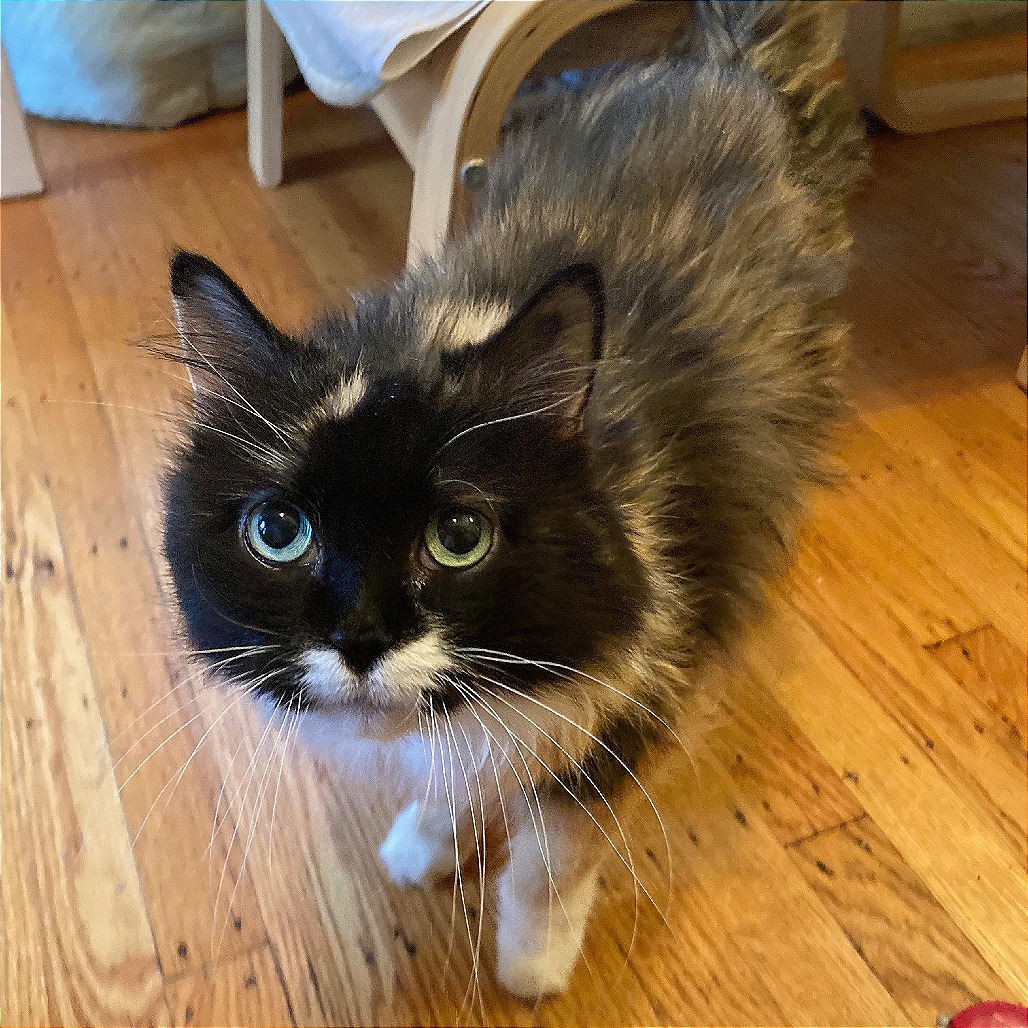 Leah, photo 26