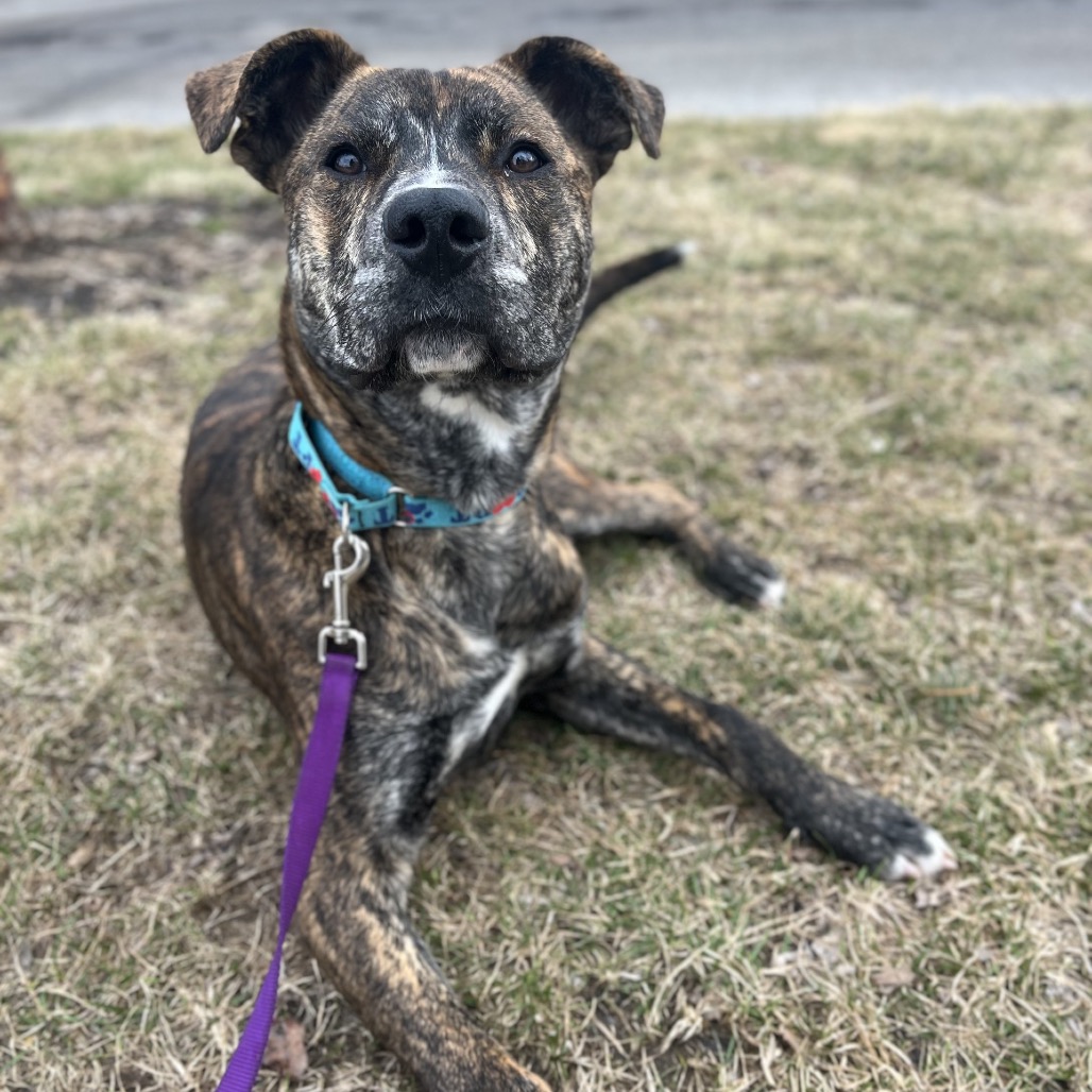 Lucky — thumbnail 7