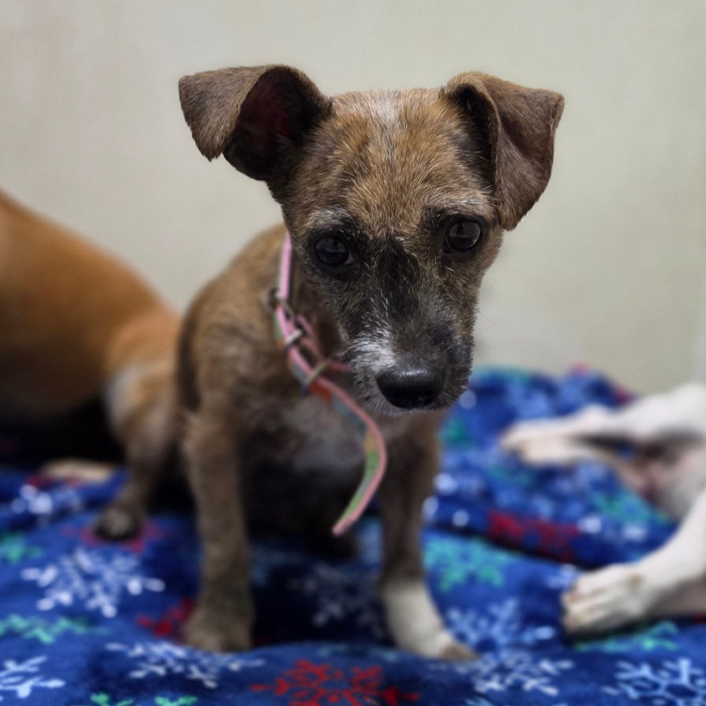 Kim Tate - Chino Hills Location, photo 3