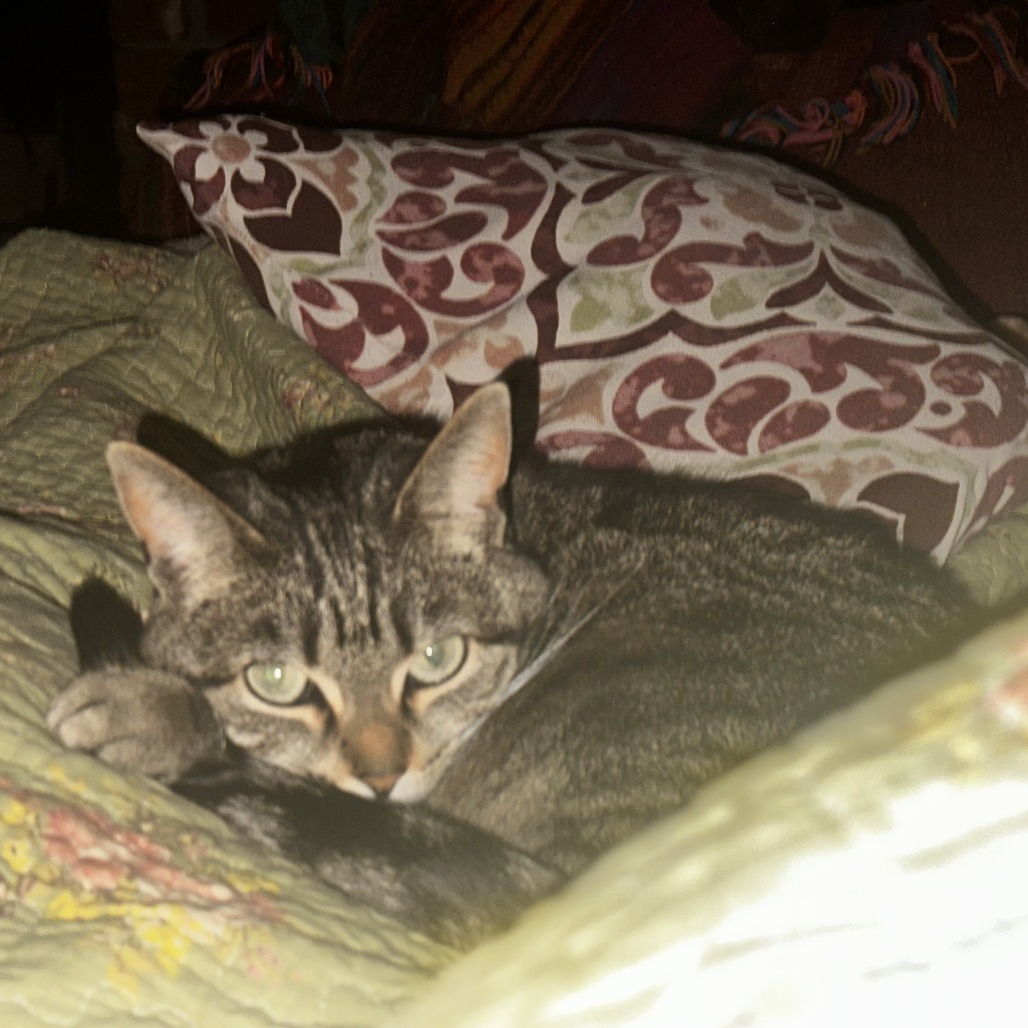 Photo of Smudge 5
