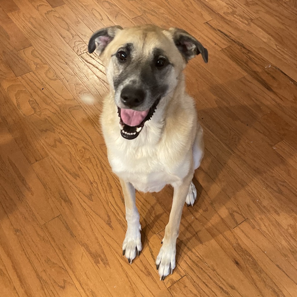 Zeke