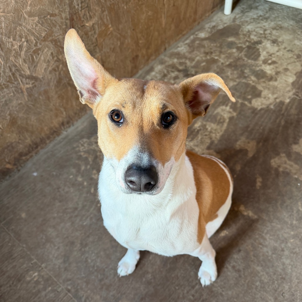 Nicole — thumbnail 5