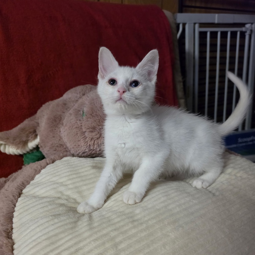 Photo of MARIE