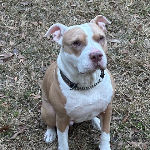 Lloyd, photo 2