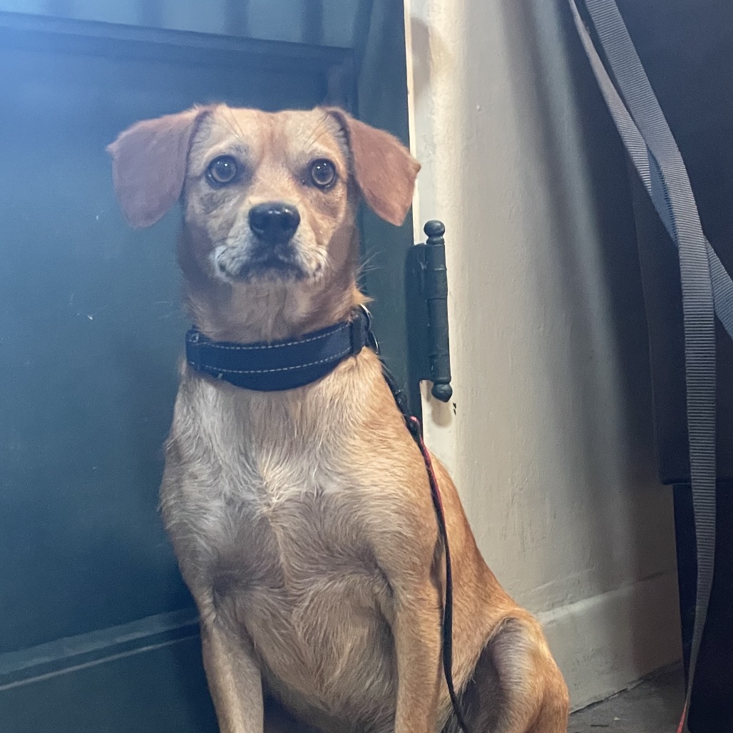 Charlie