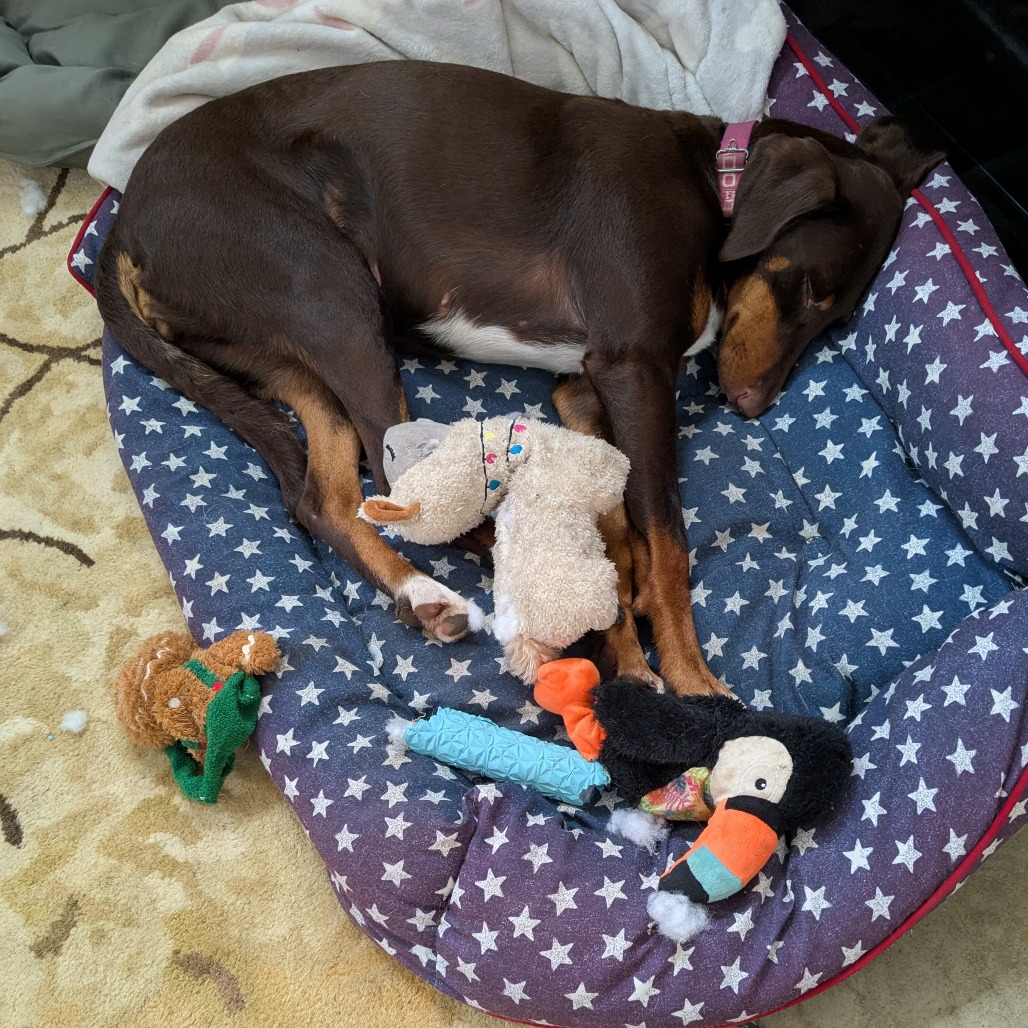 AMELIA, photo 2