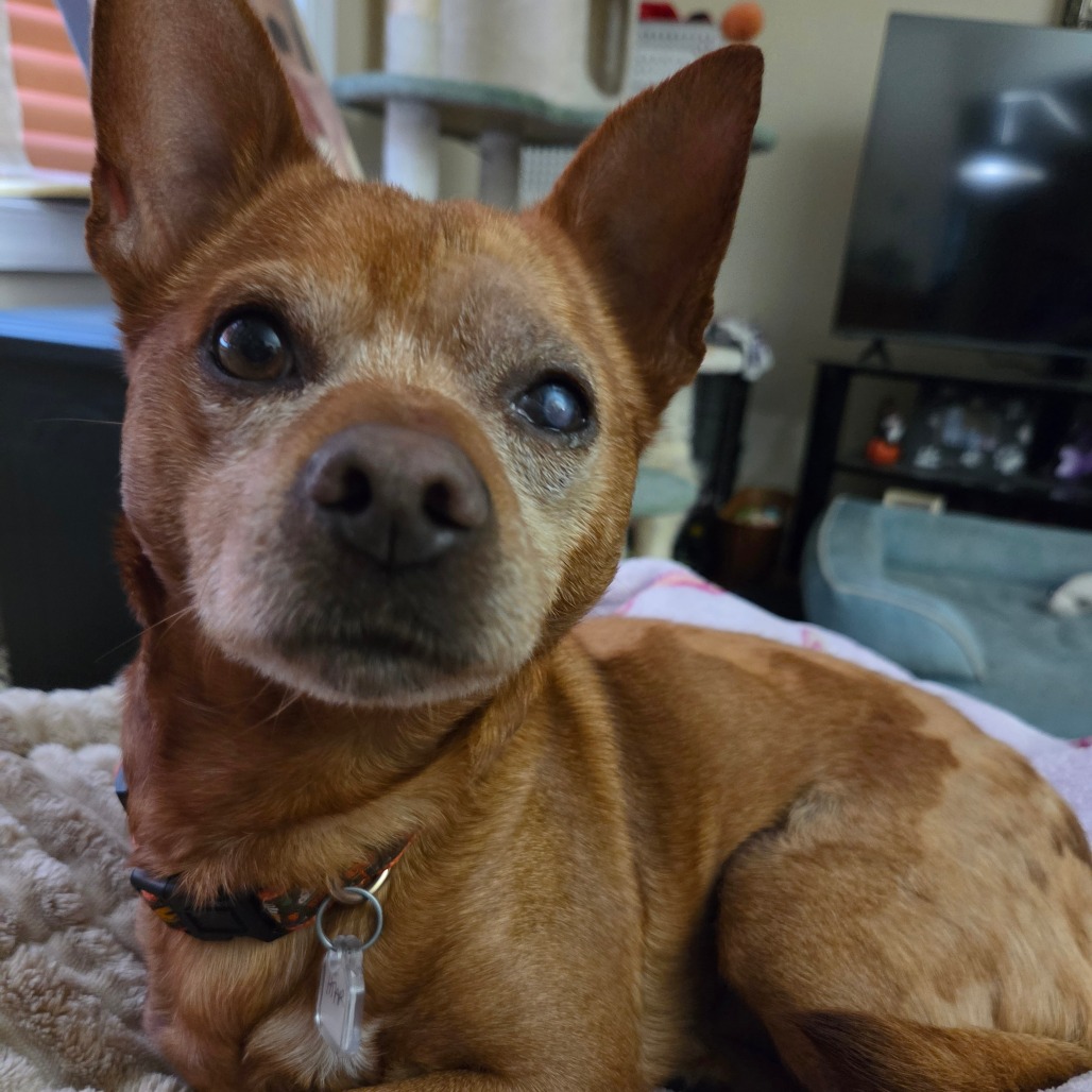 Frito, photo 14