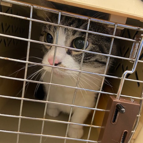 Photo of Colby Jack 3