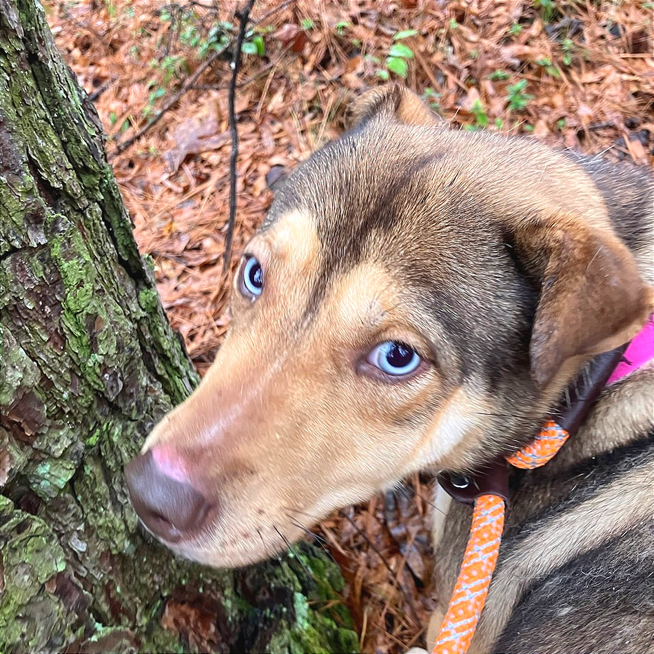 Wendy — thumbnail 4