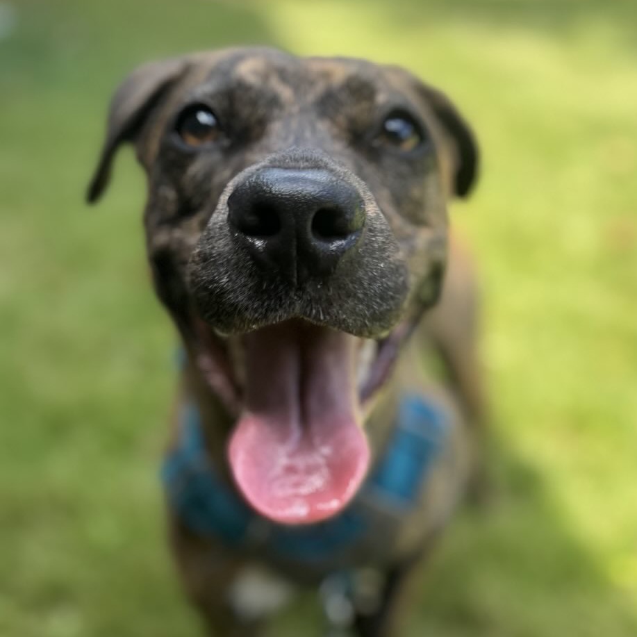 Taz, photo 3
