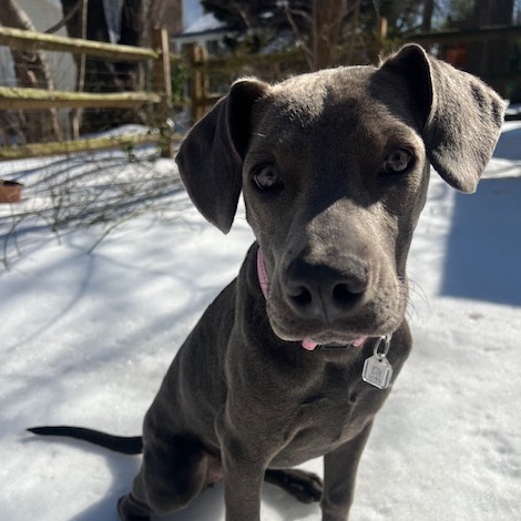 Willa — thumbnail 2