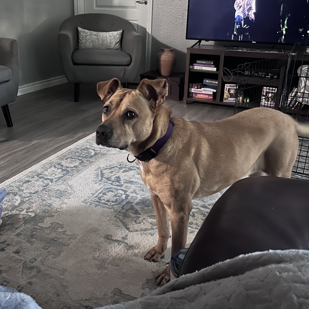 Lilly, photo 33