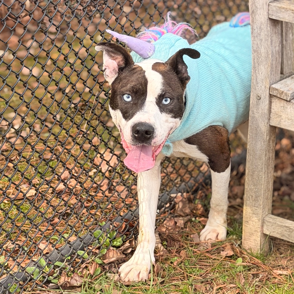 Blue — thumbnail 8